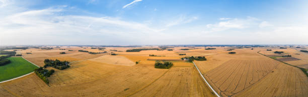 istock Cereal fields in Zalenieku parish, Abgunste, Latvia 1333996039