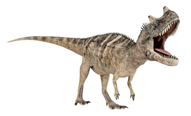 istock Dinosaur Ceratosaurus isolated on white background 1333996538