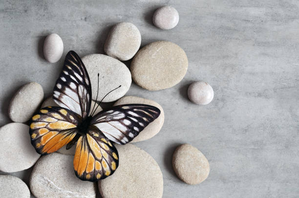 istock Flat lay composition with grey spa stones and butterfly. 1334001172