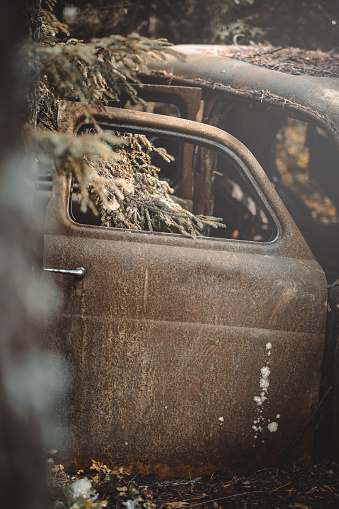 Old abandoned car deep in a forest. Selective focus.