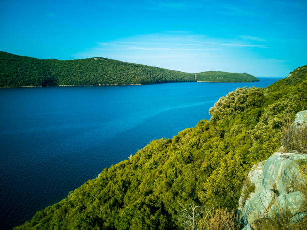 Panorama of Limski canal from the vantage point on the hill. Istrian landscape with olive groves and lush greenery. A viewpoint and a place for vacation trips.