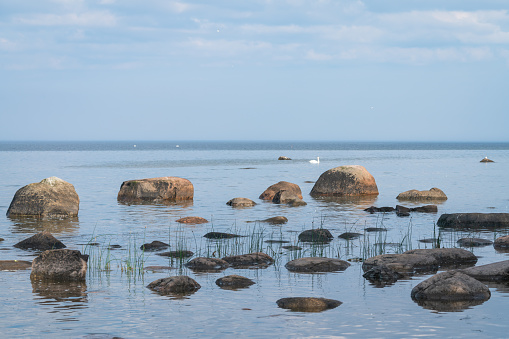 Rocky shore of the Baltic Sea in Kaltene, Latvia