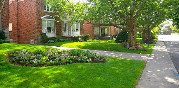 istock beautiful suburban neighbourhood 133400786