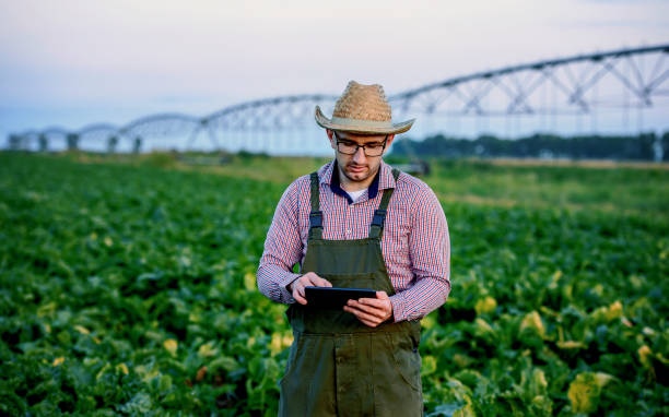 istock Farmer taking a notes with tablet in the field. Agricultural concept 1334009880