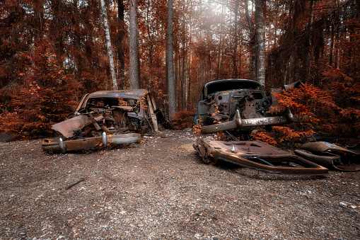 Old vintage abandoned rusty cars deep in a autumnal forest.