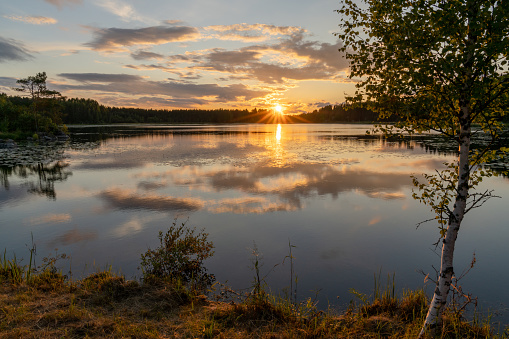 A colorful sunset reflected in a calm lake landscape with green forest and reeds