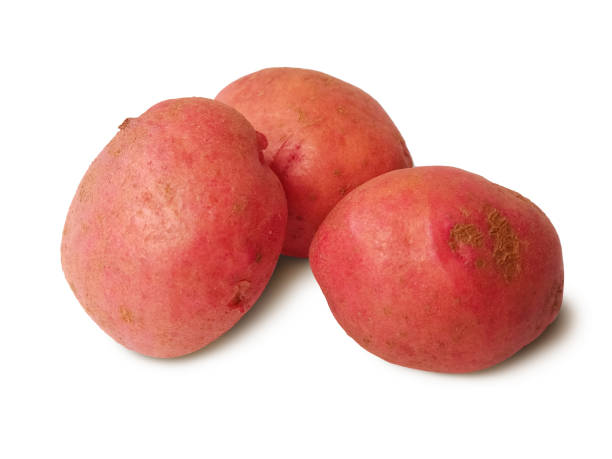 czerwone ziemniaki izolowane na białym tle - red potato raw potato isolated vegetable zdjęcia i obrazy z banku zdjęć