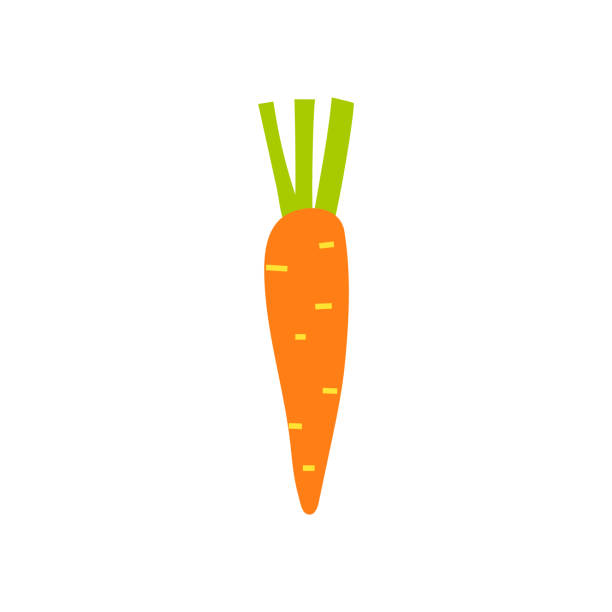 Cartoon Carrot Isolated Vector Illustration Of An Orange Carrot With Green  Tops Vegetable Culture Root Vegetable On A White Background Stock  Illustration - Download Image Now - iStock