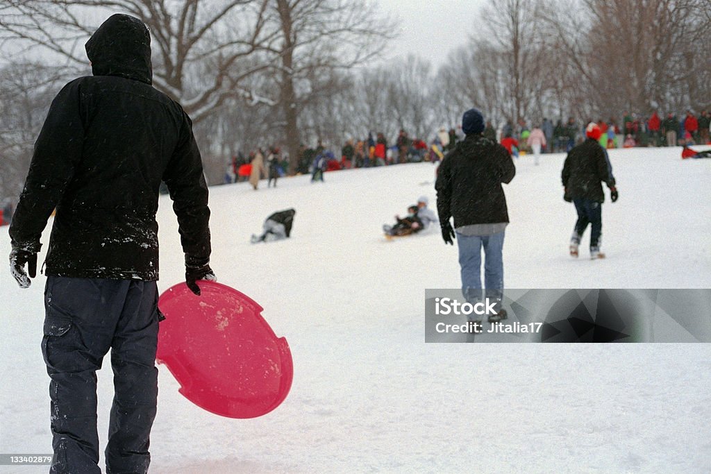 Attelage de Prospect Park - Photo de Activité de loisirs libre de droits