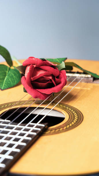 istock Close-up, a red rose is placed on the guitar strings. 1334032990