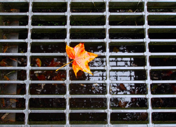 istock Red, Yellow and Orange Maple on Ground 1334036128