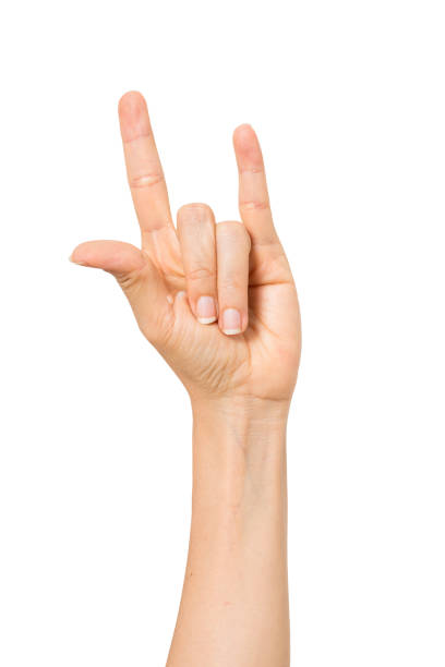 istock sign language female hand gestures isolated over the white background. with clipping path 1334036733