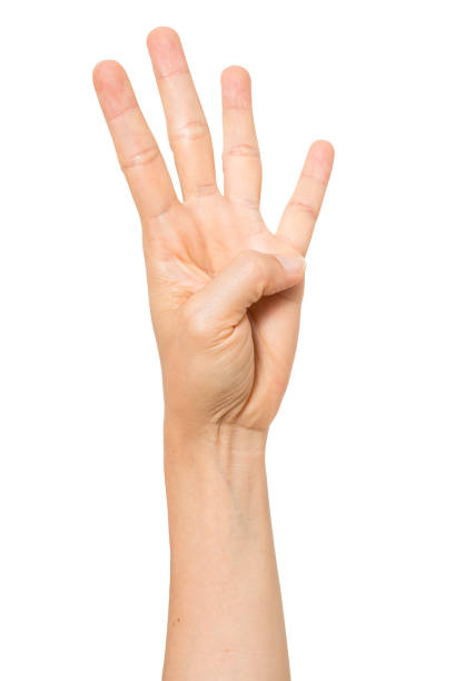 istock sign language female hand gestures isolated over the white background. with clipping path 1334036764