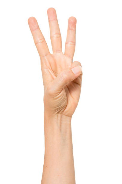istock sign language female hand gestures isolated over the white background. with clipping path 1334036846