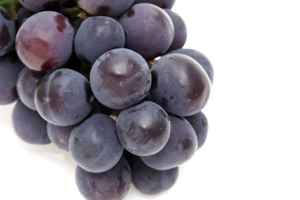 istock bunch of ripe purple grapes 1334037390