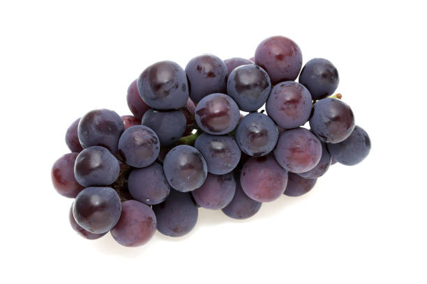 istock bunch of ripe purple grapes 1334037392