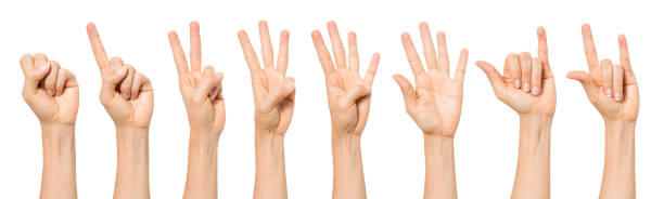 istock sign language female hand gestures isolated over the white background. with clipping path 1334037421