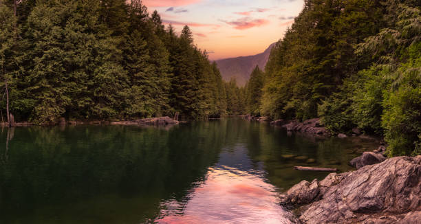 Panoramic View of the river in the Canadian Mountain Landscape Panoramic View of the river in the Canadian Mountain Landscape. Colorful Sunset Sky Art Render. Golden Ears Provincial Park, near Vancouver, British Columbia, Canada. alouette lake stock pictures, royalty-free photos & images