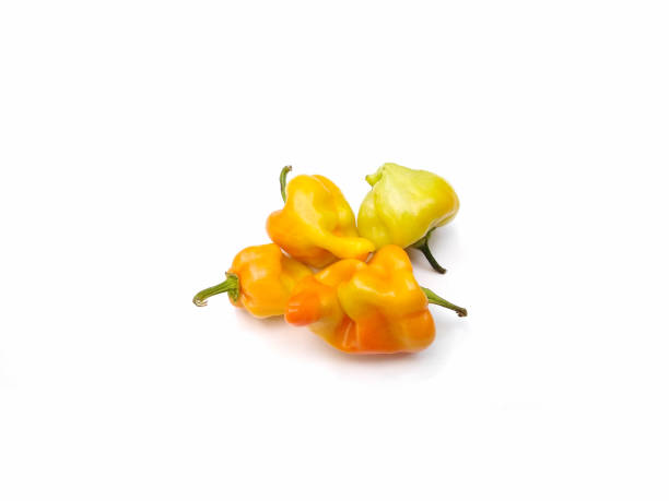 istock yellow bell pepper isolated on white background, fresh spicy vegetable 1334042931