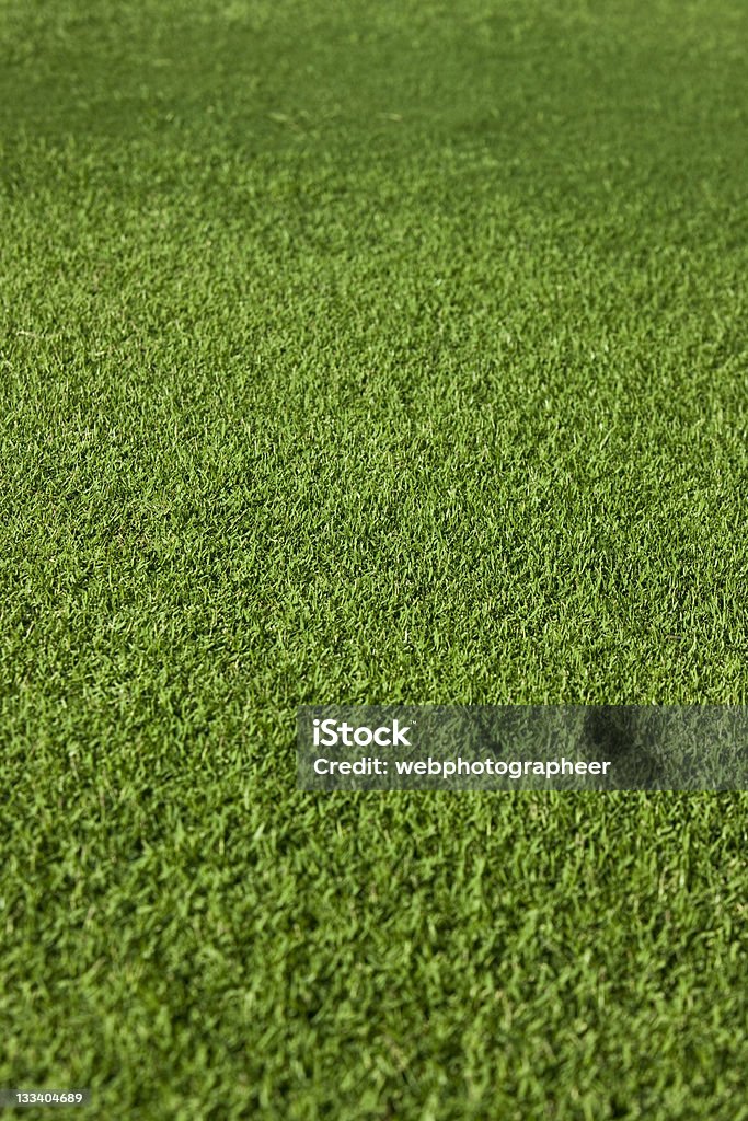 Erba verde XXL - Foto stock royalty-free di Ambientazione esterna