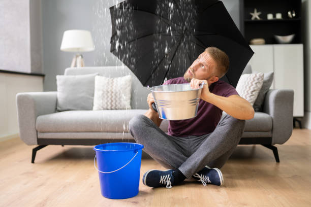 istock Emergency Leak In House Or Apartment 1334047416