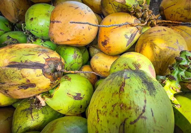 istock Young coconut is good for health 1334049897