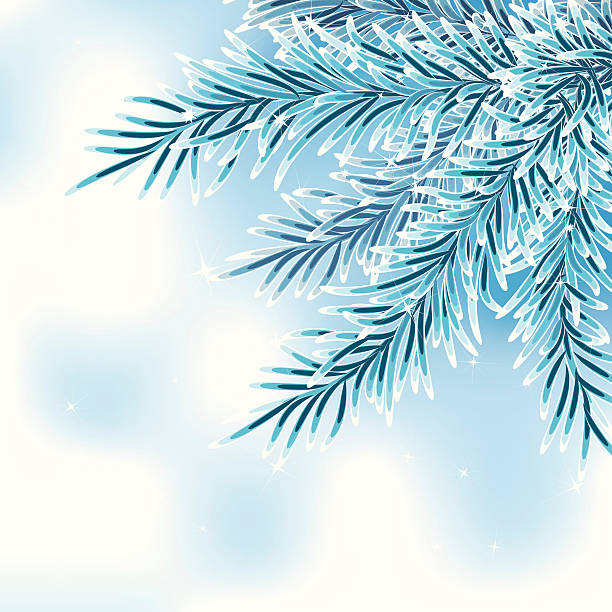 Blue spruce branch vector art illustration