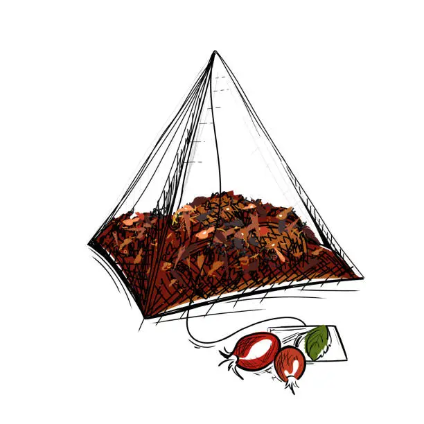 Vector illustration of Rose hip tea