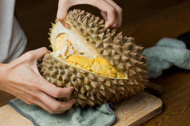 istock Midsection Of Woman Peeling Durian On Table 1334060441