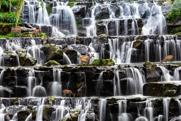 wodospad na scenie skalnej. - natural phenomenon waterfall rock tranquil scene zdjęcia i obrazy z banku zdjęć