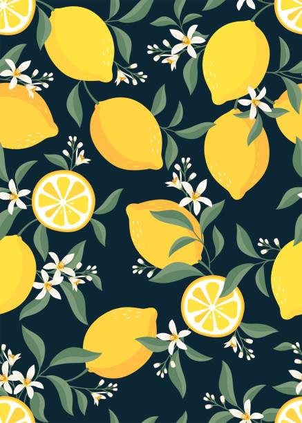 illustrations, cliparts, dessins animés et icônes de motif sans couture de modèle de fond de fruit de citron. ensemble vectoriel d’élément citron pour la publicité, conception d’emballage de produits de thé au citron et design de mode. - lemon fruit citrus fruit yellow