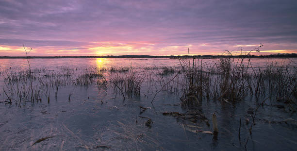 istock Sunrise in the Hammewiesen 1334065591