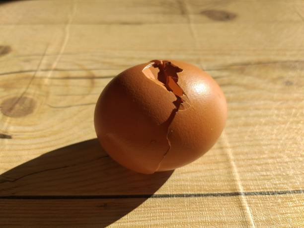 istock photo of broken eggs placed on the table 1334067449
