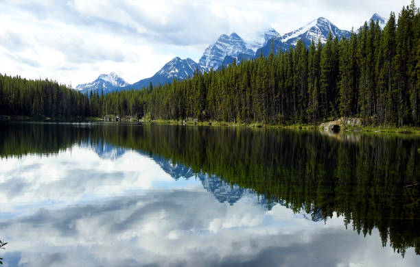 istock Mirror Lake on Icefield Parkway or Highway 93 - Canada 1334069779