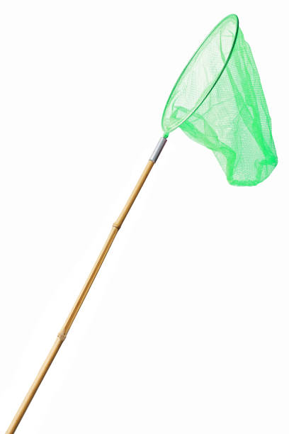 Green butterfly net on white background isolated