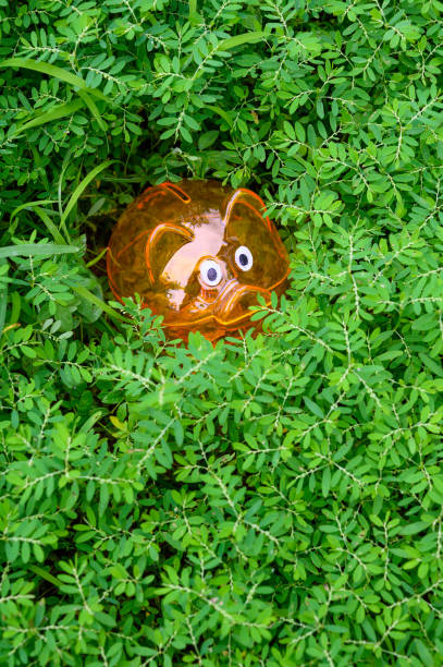 Piggy Bank on Grass Field. Business, Finance and Economy, Go Green and Environmental Conservation Concepts.