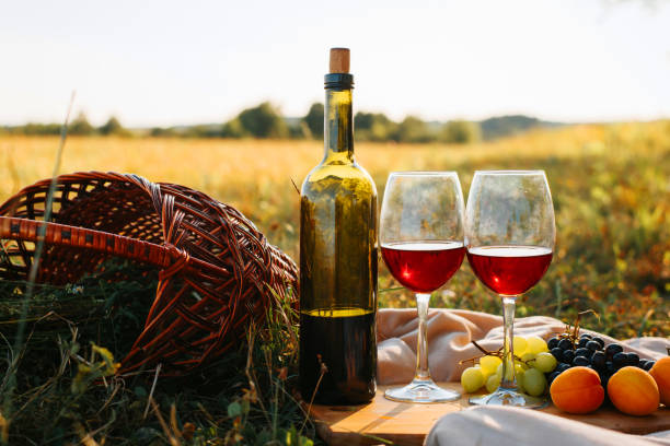 Picnic, romantic evening in nature concept. Bottle of red wine, glasses with drink, grapes, peaches on wooden board, wicker picnic basket on sunset background. stock photo