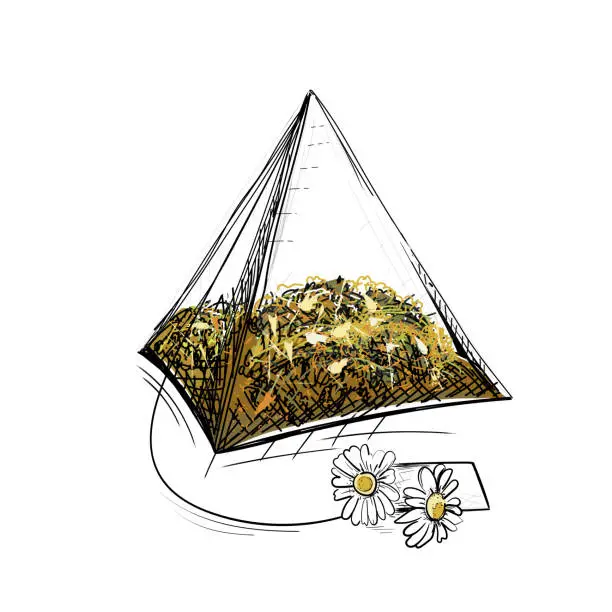 Vector illustration of Chamomile tea.