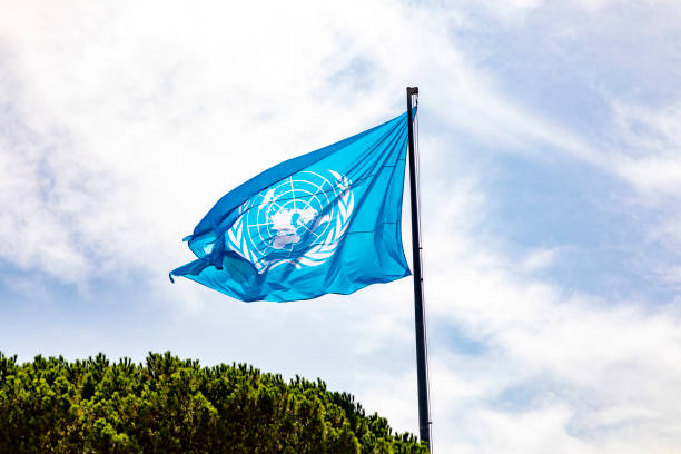 drapeau des nations unies et des pays participants avec le bâtiment de l’onu à rome - siège des nations unies photos et images de collection