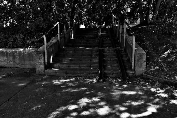 Sunlit urban scene in black and white