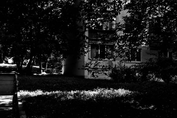 istock Sunlit urban scene in black and white 1334089309