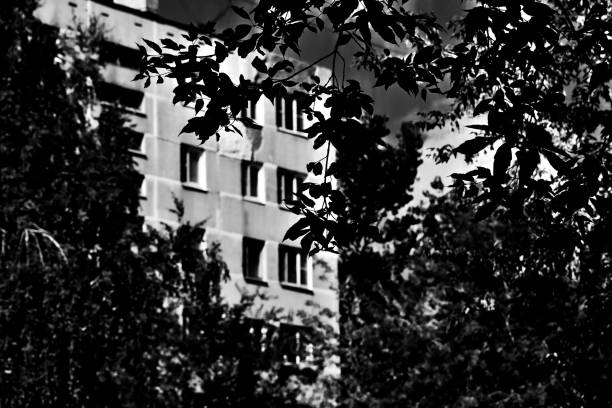 istock Sunlit urban scene in black and white 1334089316