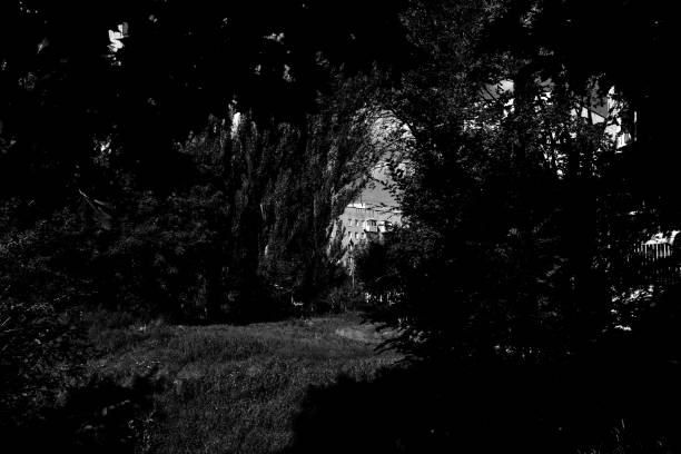 Sunlit urban scene in black and white