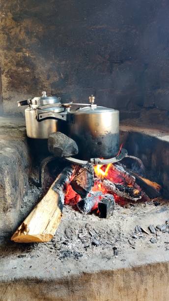 istock Langtang National Park Nepal 1334093029