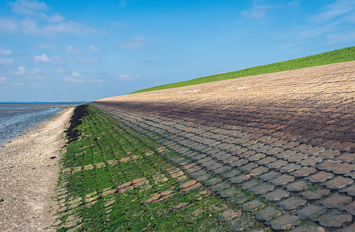 Dutch dike along the Oosterschelde at low tide. The dike is reinforced with stones and partly overgrown with green algae. The photo was taken near the village of Scherpenisse, Tholen, Zeeland.