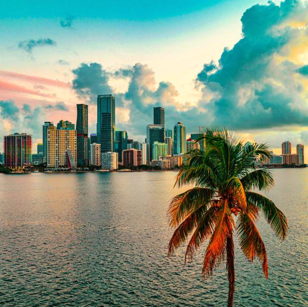 city skyline at sunrise Miami Florida Brickell stock photo