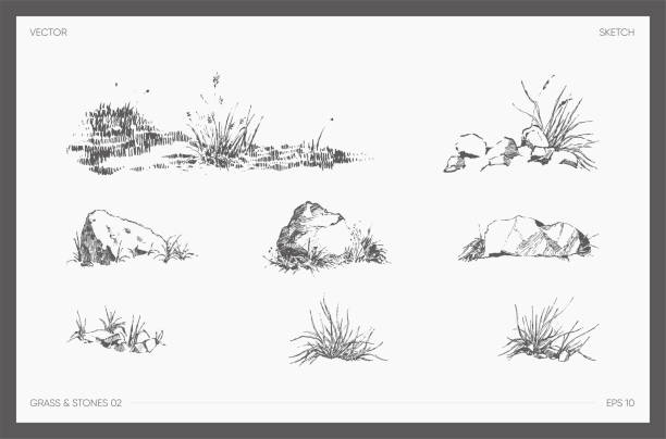 High detail drawn vector grass and stones sketch High detail hand drawn vector illustration of grass and stones, realistic drawing, sketch moss stock illustrations