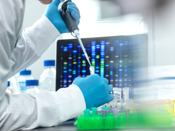 scientist pipetting sample into a vial for dna testing - investigates imagens e fotografias de stock