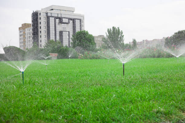 istock Automatic garden lawn sprinkler in action watering grass 1334096860