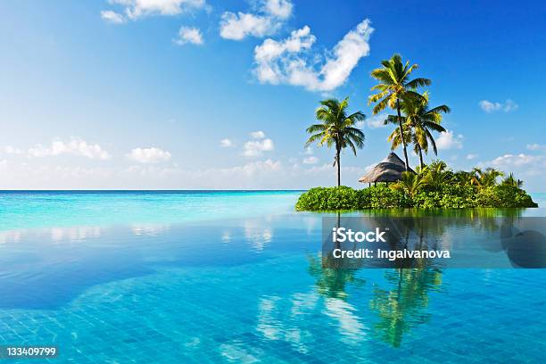 Paraíso Tropical Foto de stock y más banco de imágenes de Maldivas - Maldivas, Playa, Clima tropical